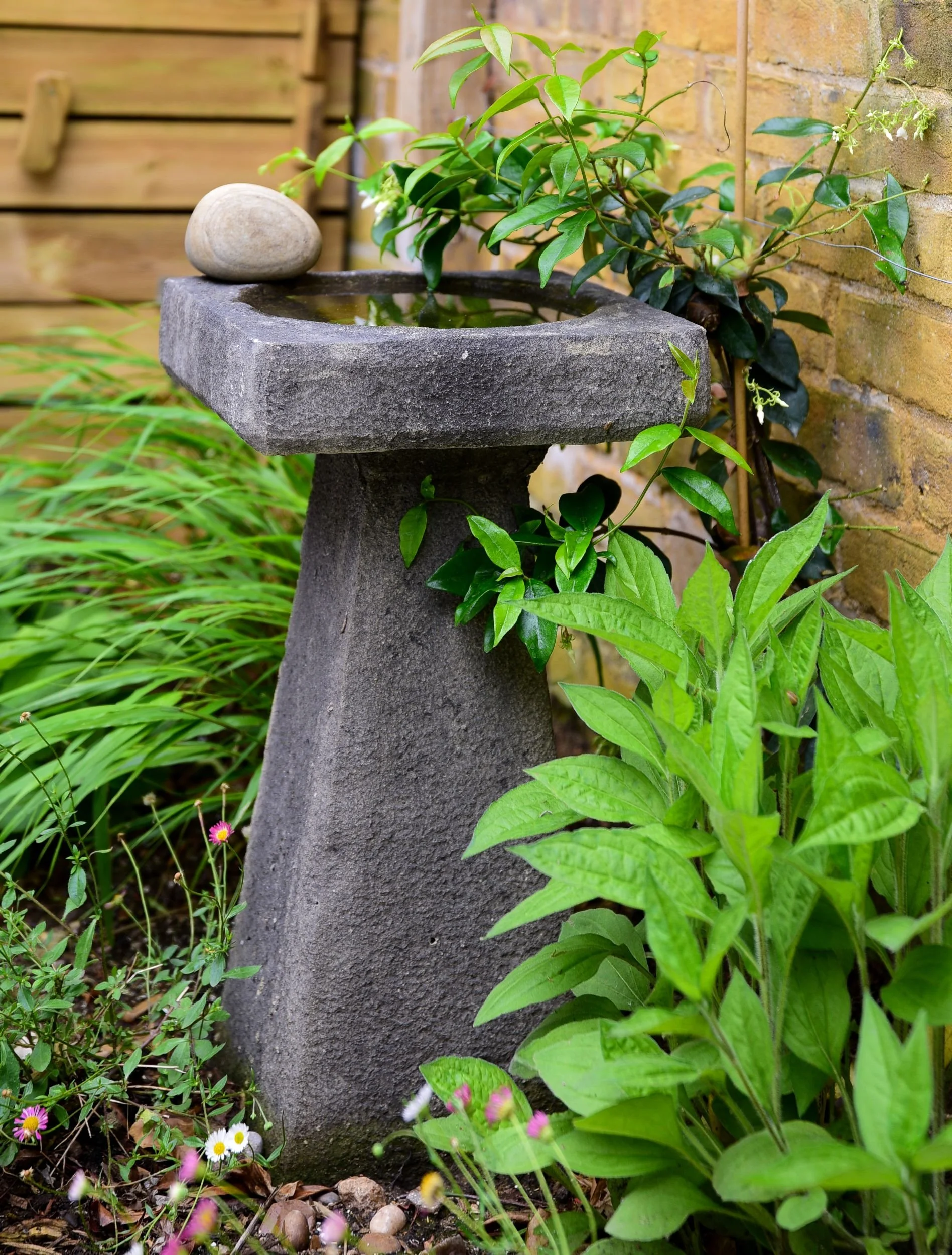 Close-up of a stone birdbath with a smooth pebble resting on its rim

A close view of the stone birdbath shows a smooth pebble perched on the rim, giving smaller birds and insects a safe landing spot beside the water.