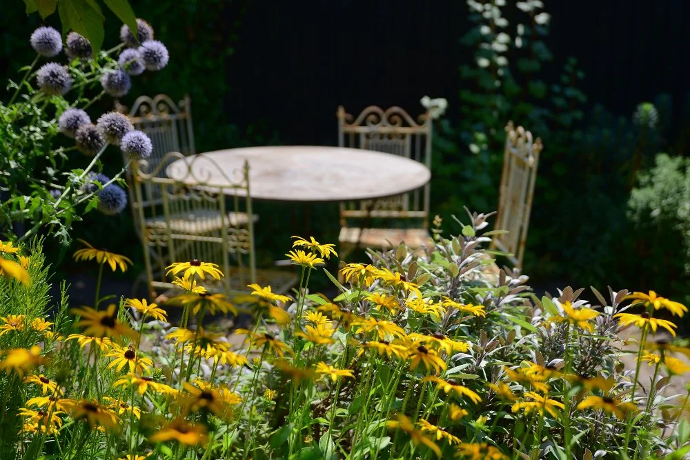 A vintage cream metal table and chairs sit in a shaded corner of a Teddington garden, framed by golden rudbeckia, silvery foliage and spherical blue echinops flower heads. JaneShanksterGardenDesign.co.uk.

A vintage cream metal table and chairs sit i