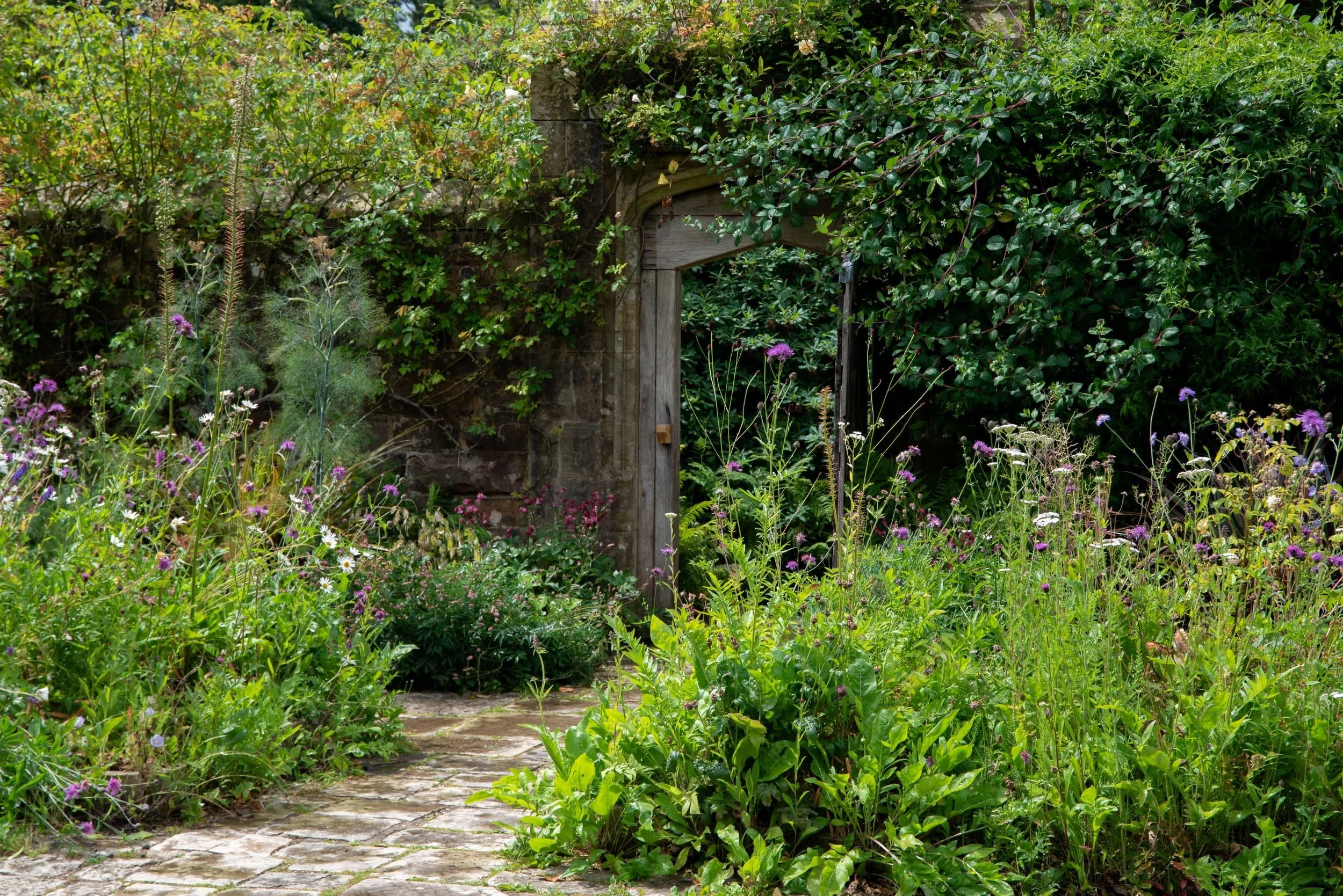 Arched wooden doorway set into a stone wall at Nymans, framed by climbing roses and surrounded by tall wildflowers and ferns.