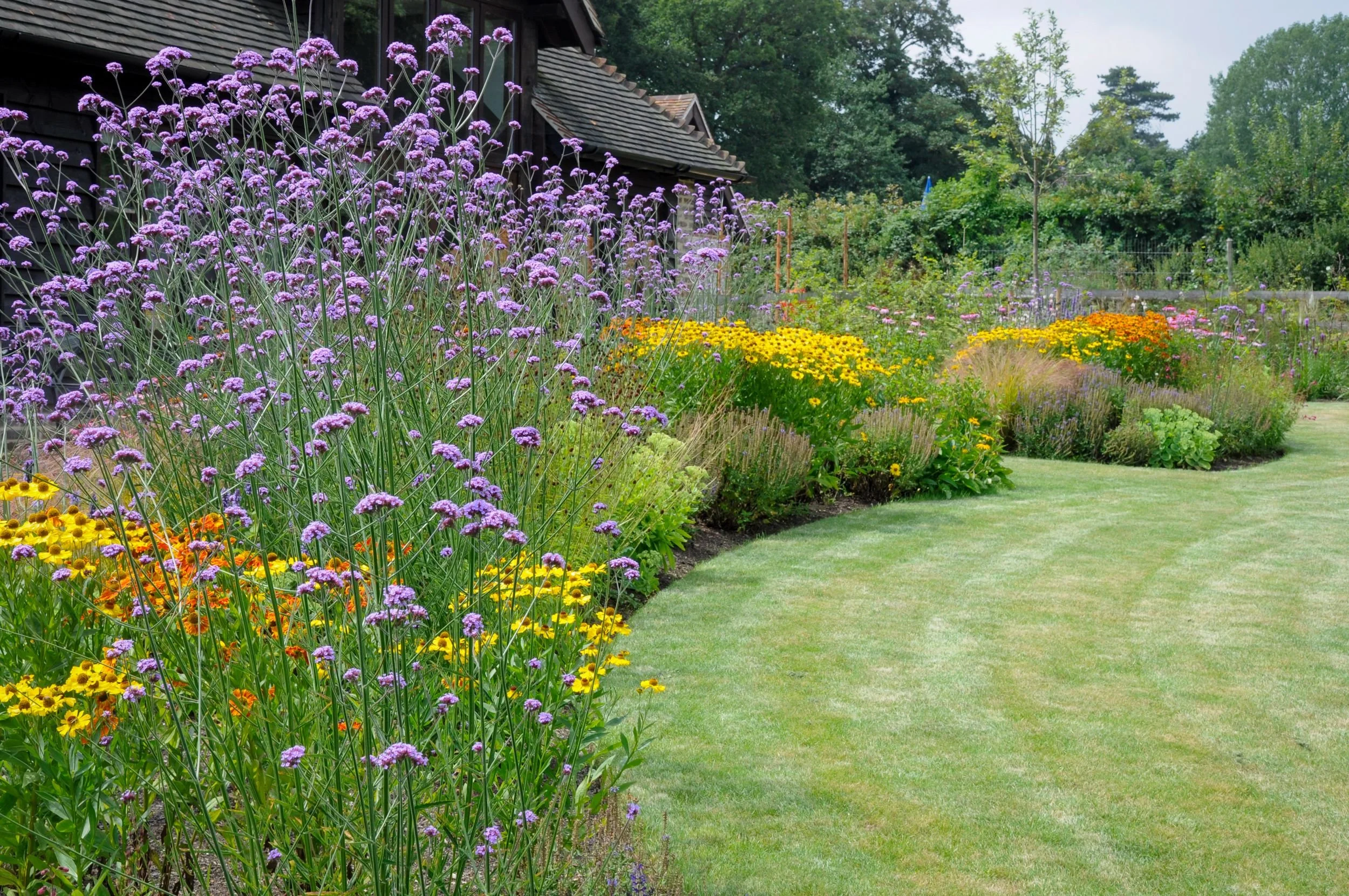 A natural curving lawn edge meets a deep border of verbena, helenium and grasses in a Surrey country garden. JaneShanksterGardenDesign.co.uk.

Rather than a straight line, the lawn here follows a soft, natural curve as it meets the border, letting dr
