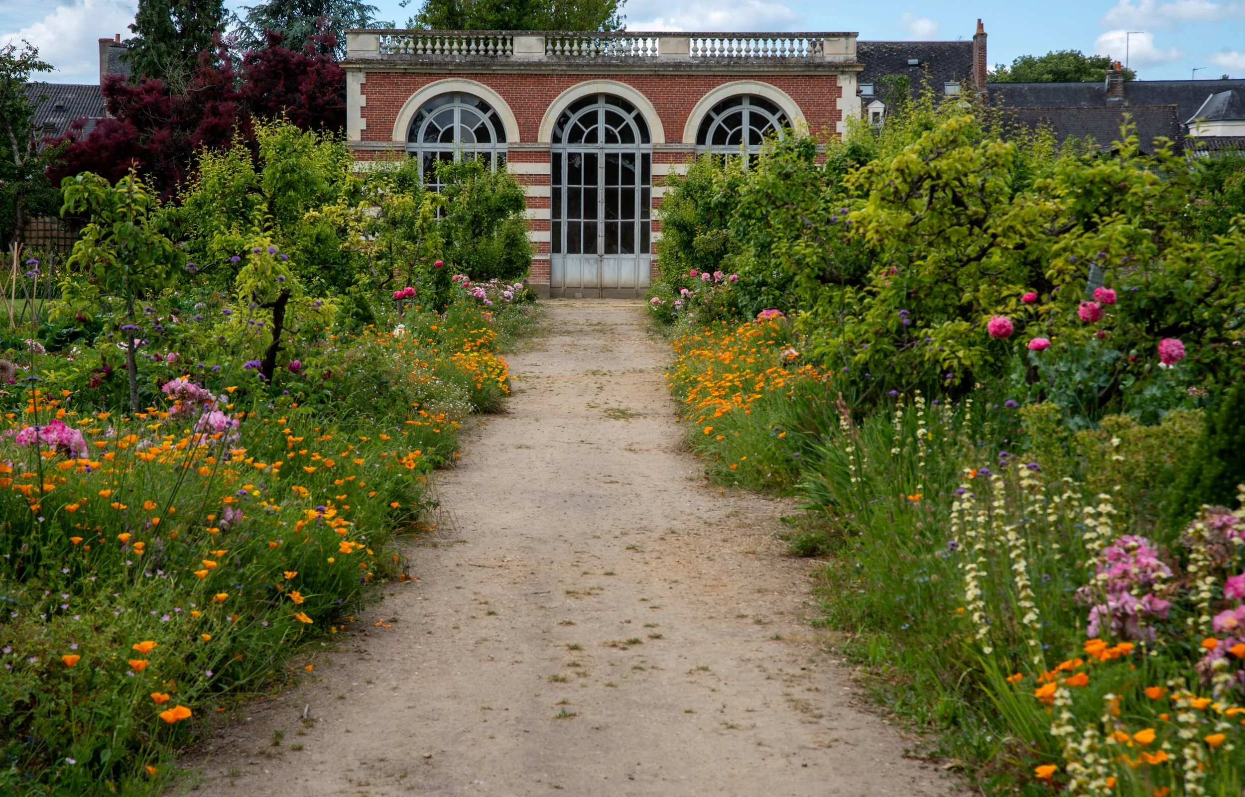 Path lined with orange poppies and pink roses leading to the brick orangery at Château du Lude, its arched windows framed by trained fruit trees.