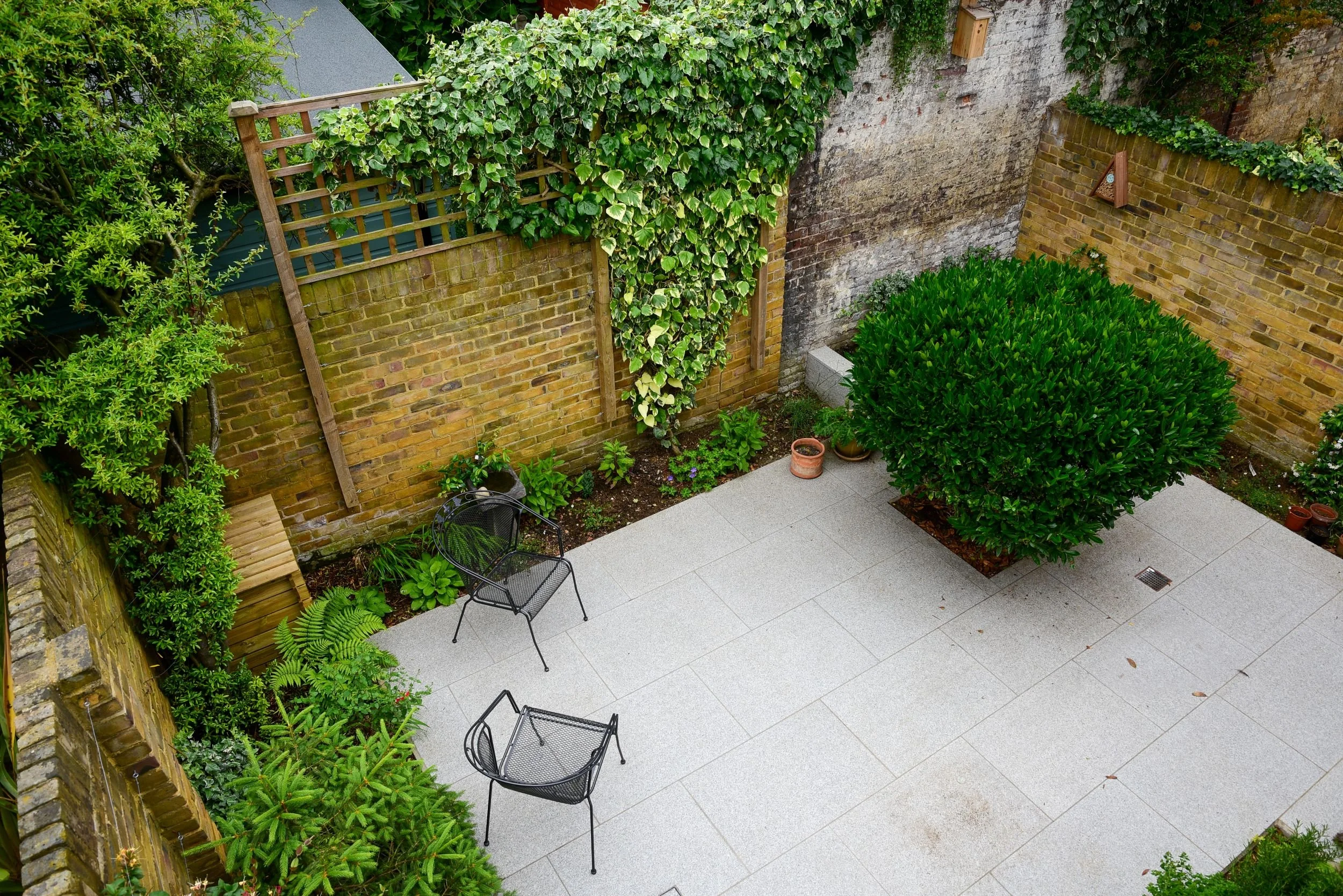 Aerial view of a walled Twickenham garden with granite paving, clipped box and mature brick walls

Looking down over this walled Twickenham garden reveals the full layout: granite paving threads between a clipped box ball, ferns and a birdbath, with 