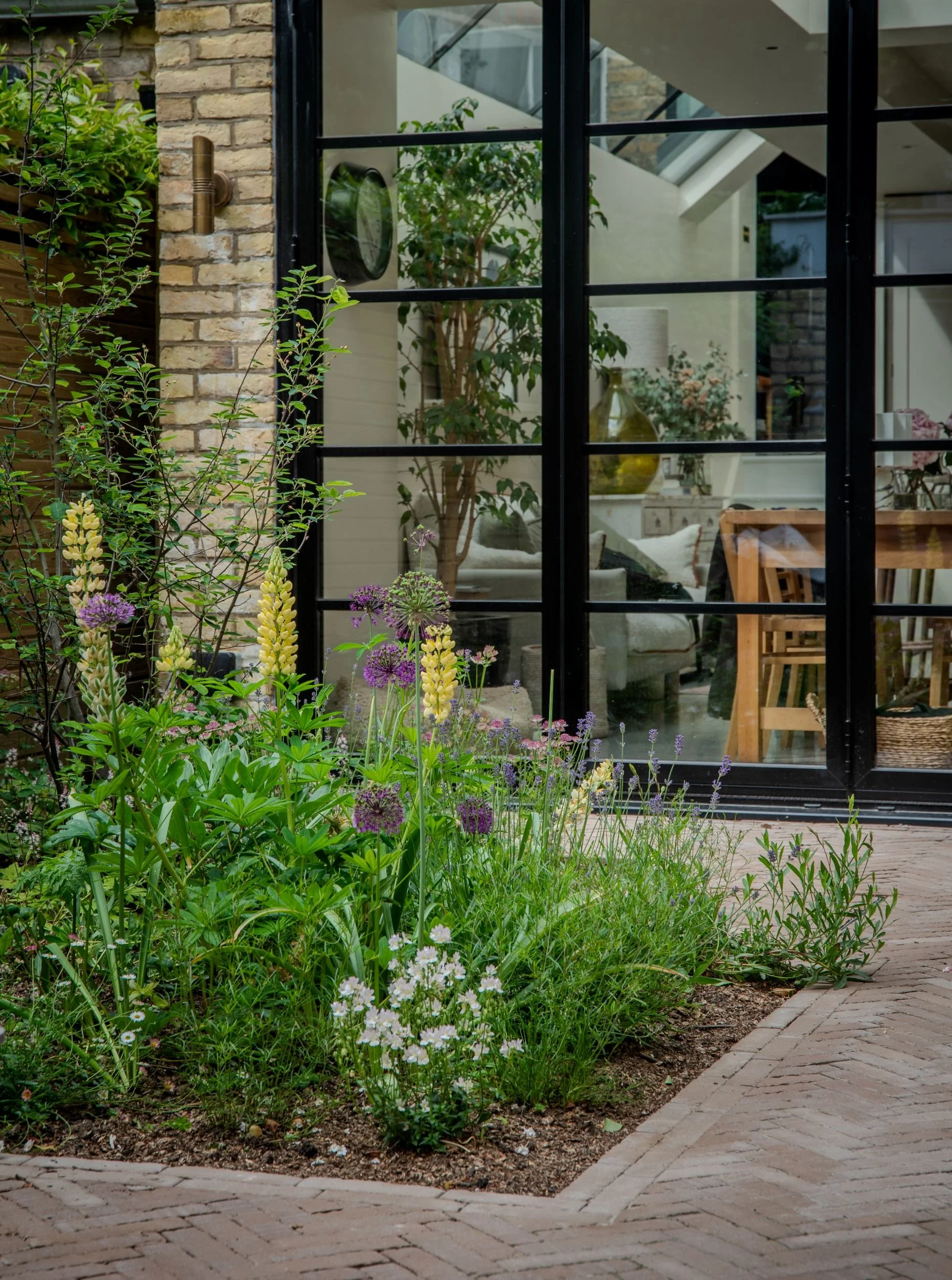 A naturalistic planting border with yellow lupins, purple alliums, lavender and white flowers beside Crittall-style glass doors on a London brick extension, with herringbone brick paving in a Fulham courtyard garden. ArthurRoadLandscapes.co.uk.

This