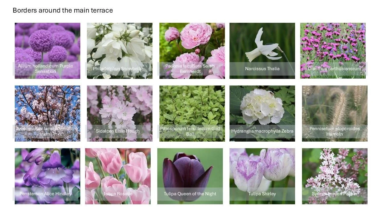 Plant palette grid for the main terrace borders, featuring alliums, philadelphus, peonies, narcissus, penstemons and tulips