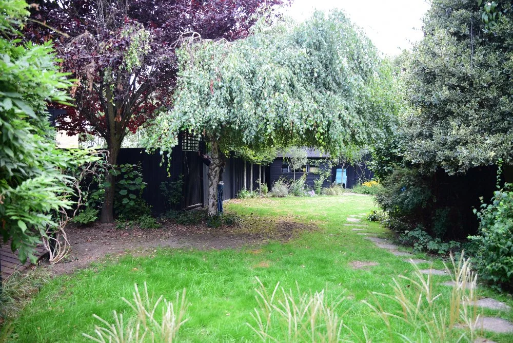 A bare, patchy lawn runs beneath an overgrown willow tree towards a dark timber outbuilding in a Teddington garden before redesign, with minimal planting along the boundary fence. JaneShanksterGardenDesign.co.uk.

Before the transformation, this part