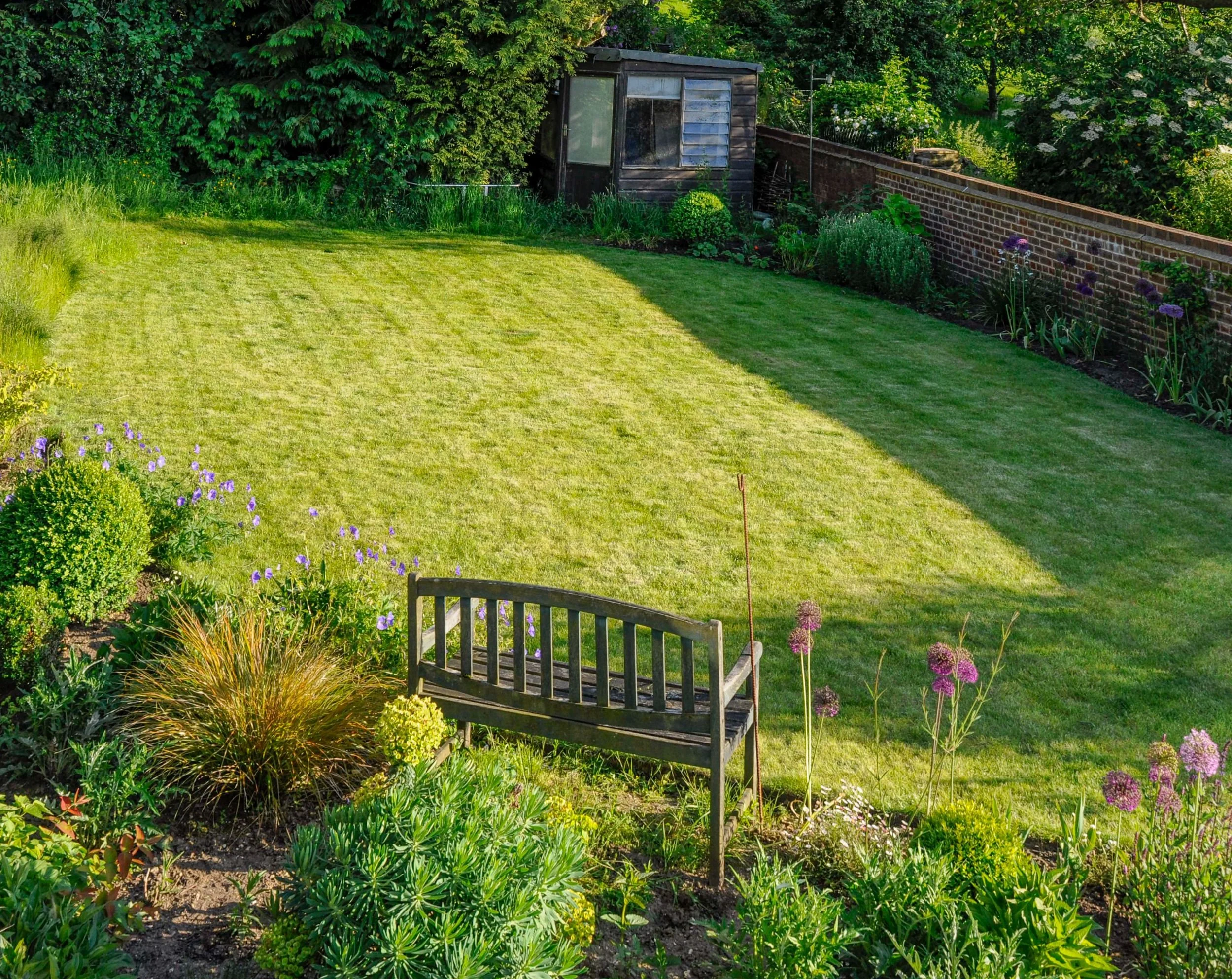 A wide view of the sloped elliptical lawn shows a wooden bench, alliums and a garden shed. JaneShanksterGardenDesign.co.uk

Evening light rakes across the garden's sloped, elliptical lawn, with a timber bench, drumstick alliums and ornamental grasses