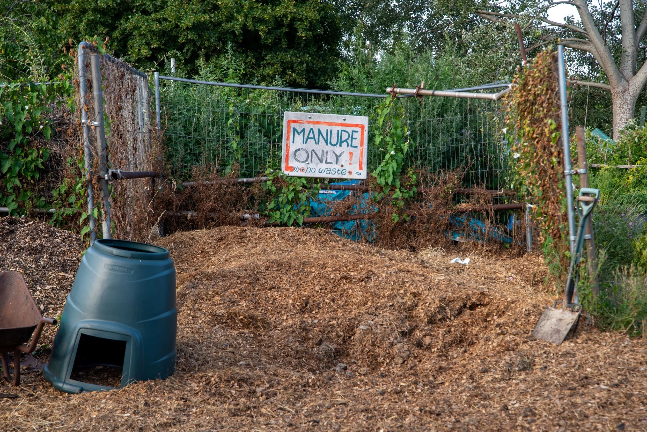 communal compost and manure heap on the allotment site, with a hand-painted 'Manure Only' sign and wheelbarrow