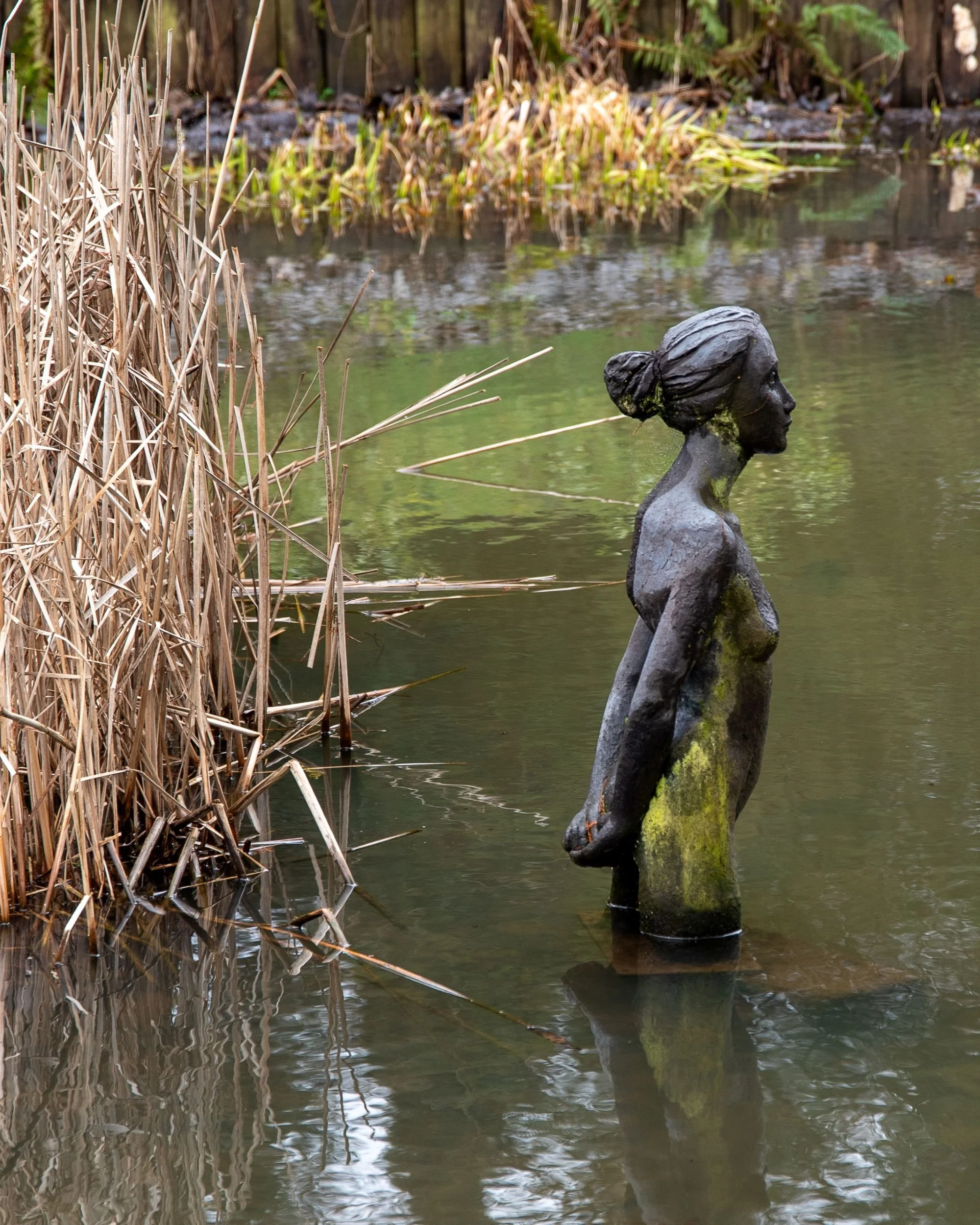 Bronze figure sculpture standing in a reed-fringed pond at Sir Harold Hillier Gardens