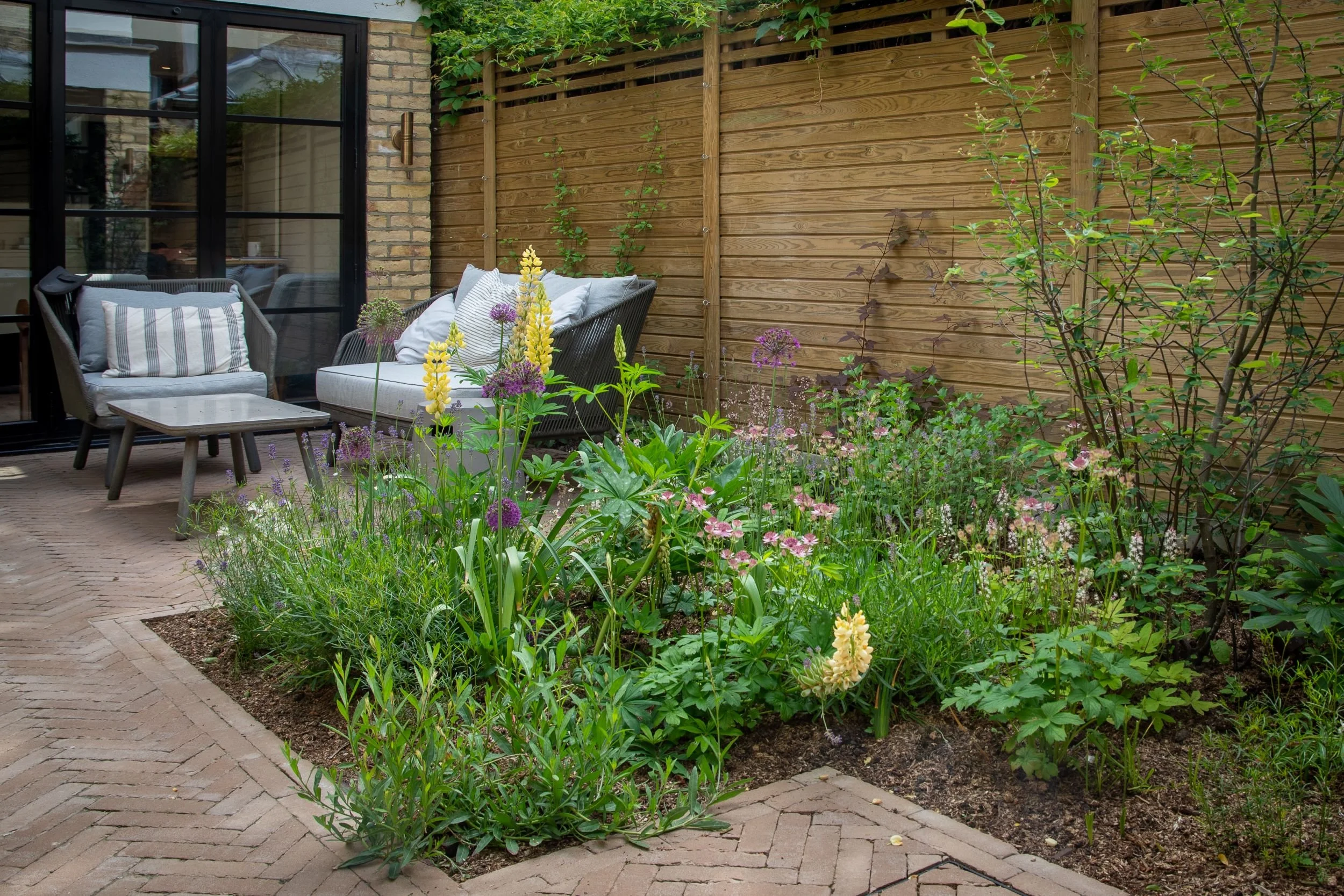 A grey wicker outdoor sofa and armchair on herringbone brick paving in a Fulham courtyard, with a naturalistic border of yellow lupins, purple alliums, astrantia and lavender against a cedar slatted fence. ArthurRoadLandscapes.co.uk.

This inviting c