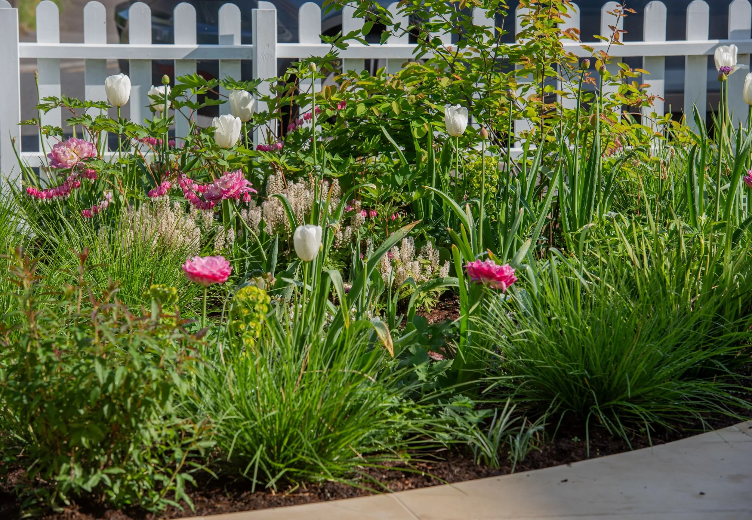 Raynes Park front garden 16 Arthur Road Landscapes.jpg