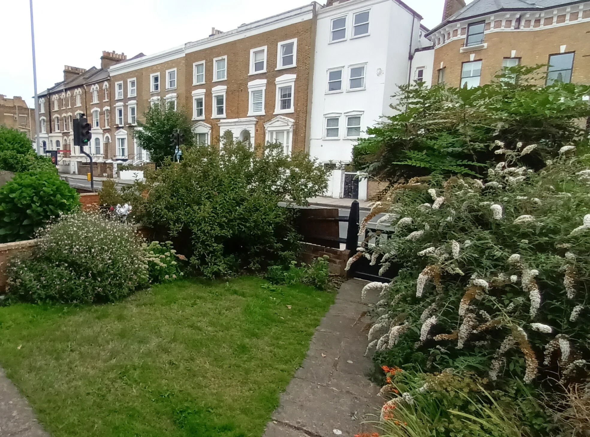 Before photo of an overgrown Wandsworth front garden with unkempt lawn and shrubs. Designed by JaneShanksterGardenDesign.co.uk

The original front garden before the redesign, showing an overgrown lawn, untamed shrubs and a tired path leading to the g