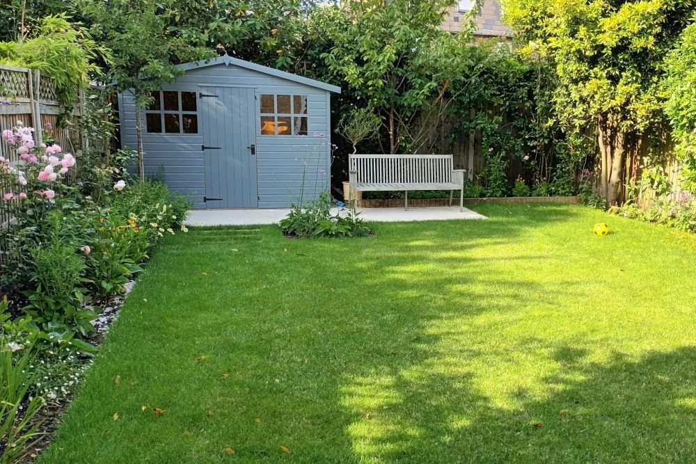Lawn, shed and bench in a Wimbledon family garden in early summer

The lawn, shed and bench viewed across dappled shade, with roses and marigolds flowering in the border — the same Wimbledon family garden shown in early summer.