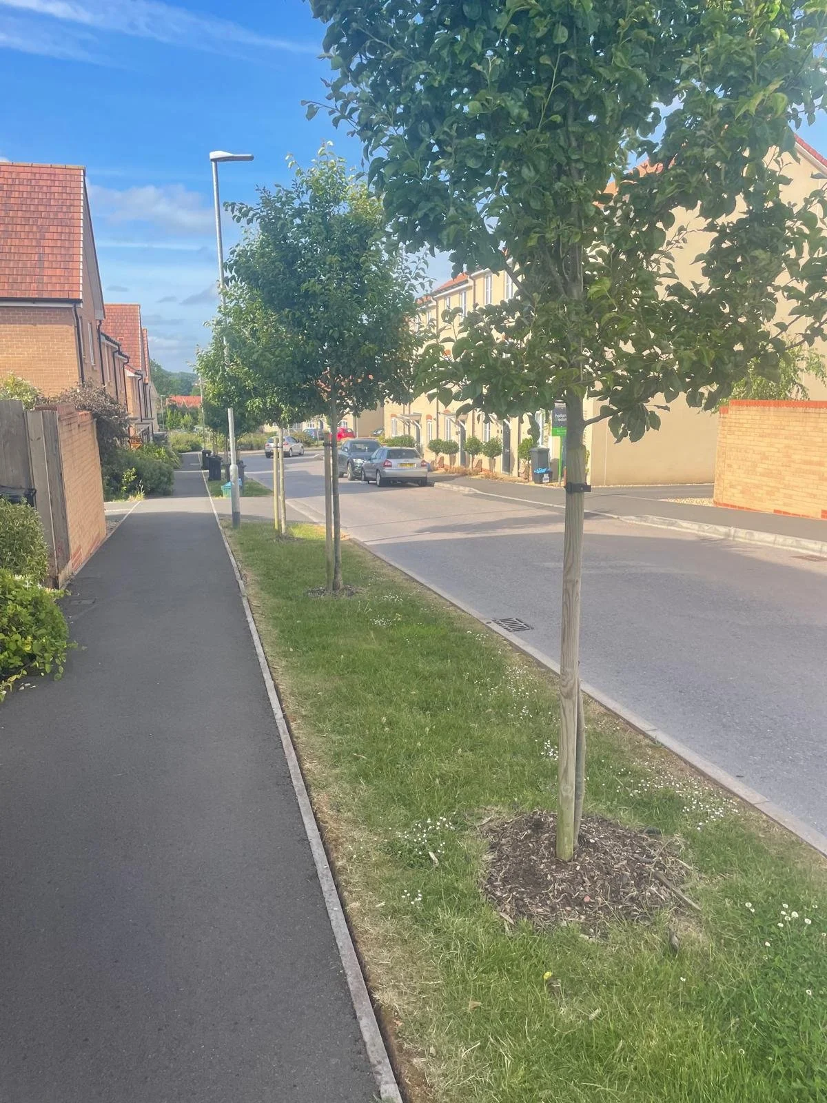 Checking your Tree Stakes and Ties