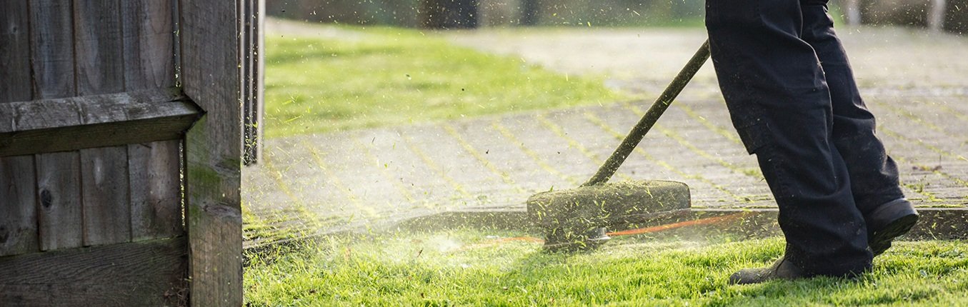 Unveiling the Secrets to Lush and Vibrant Lawns: Your Ultimate Guide to Grass Care