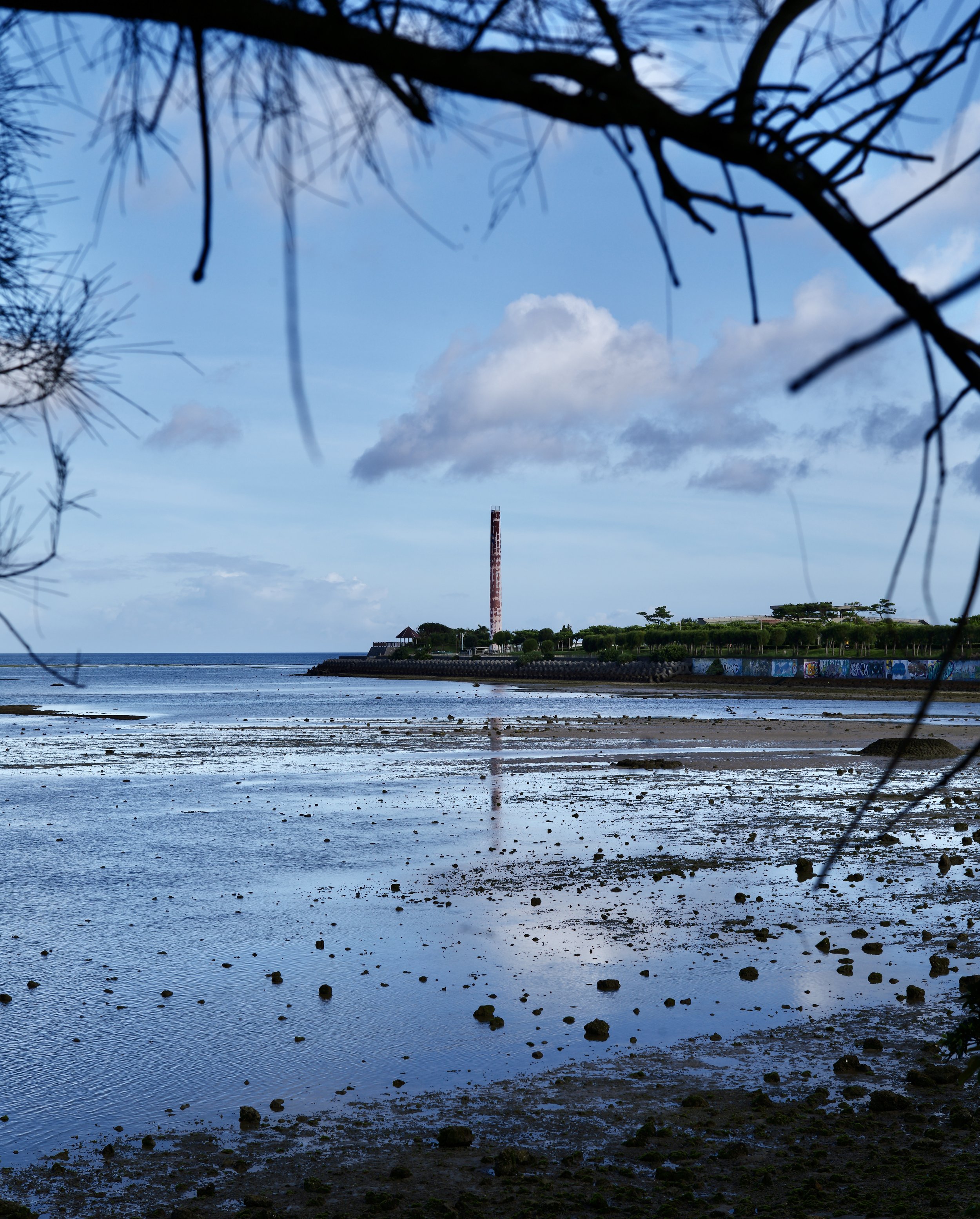 L1004074.JPG