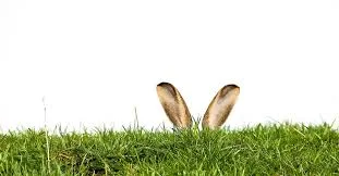 Ostersonntag SPECIAL