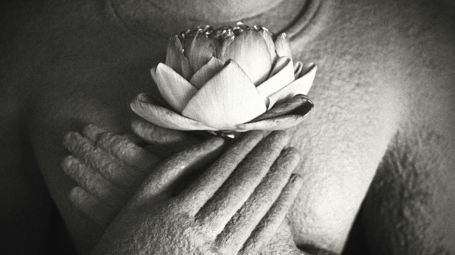 Affirmation &amp; Yoga