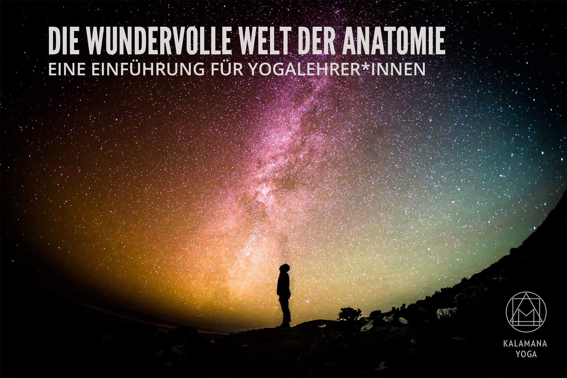 Die wundervolle Welt der Anatomie