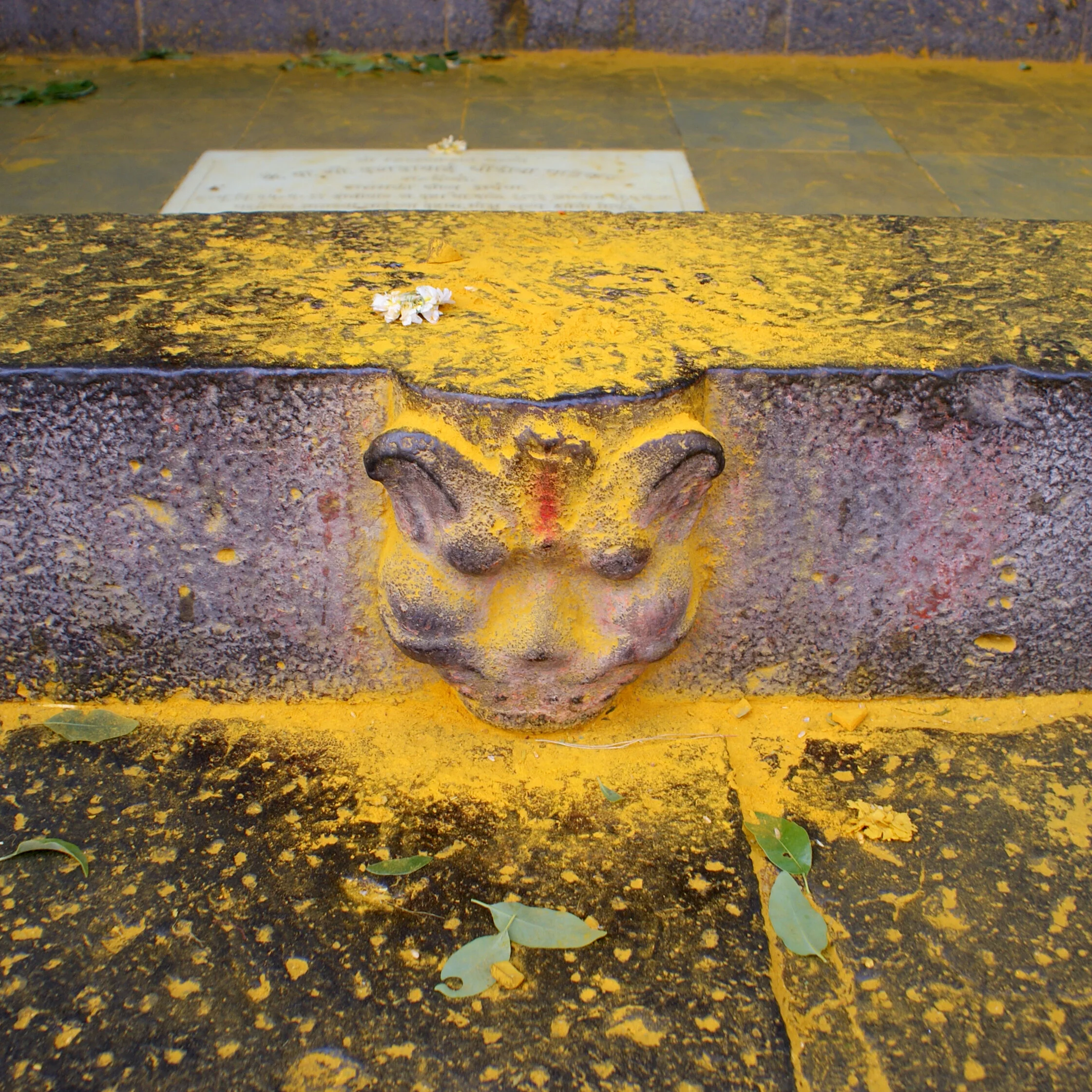 Yoga mit Dr. Maitreya Larios