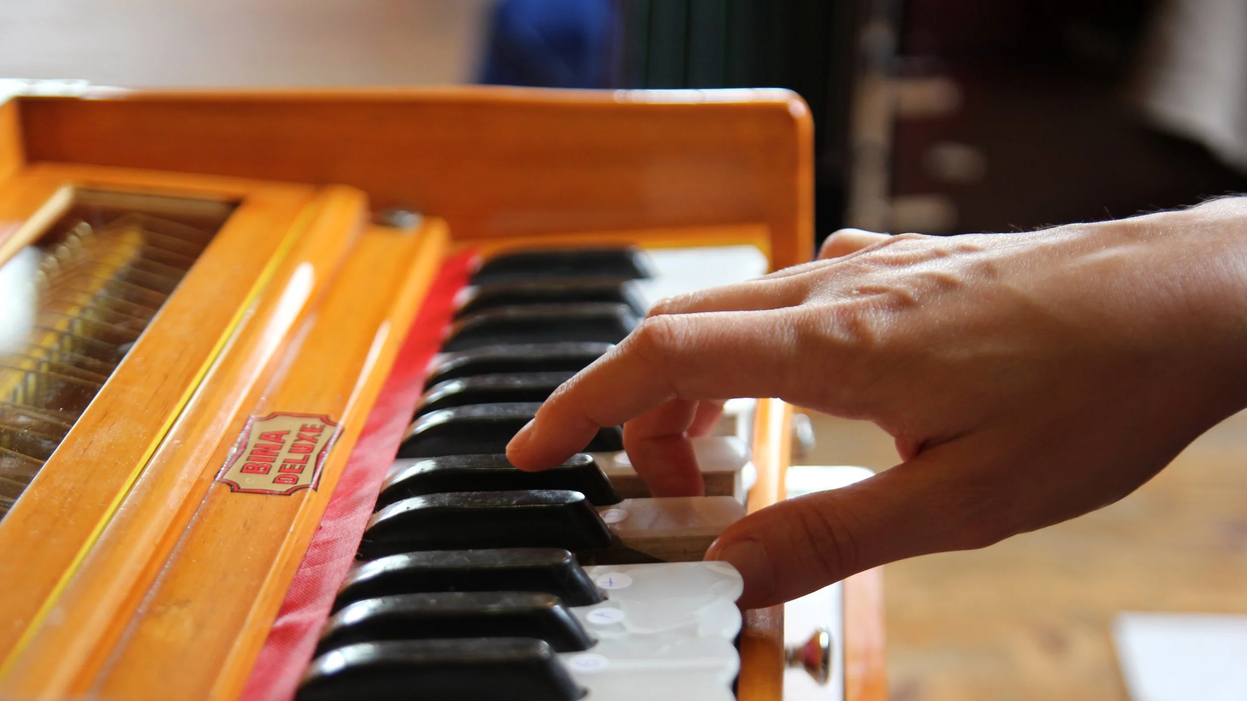 EINFACH HARMONIUM SPIELEN LERNEN!