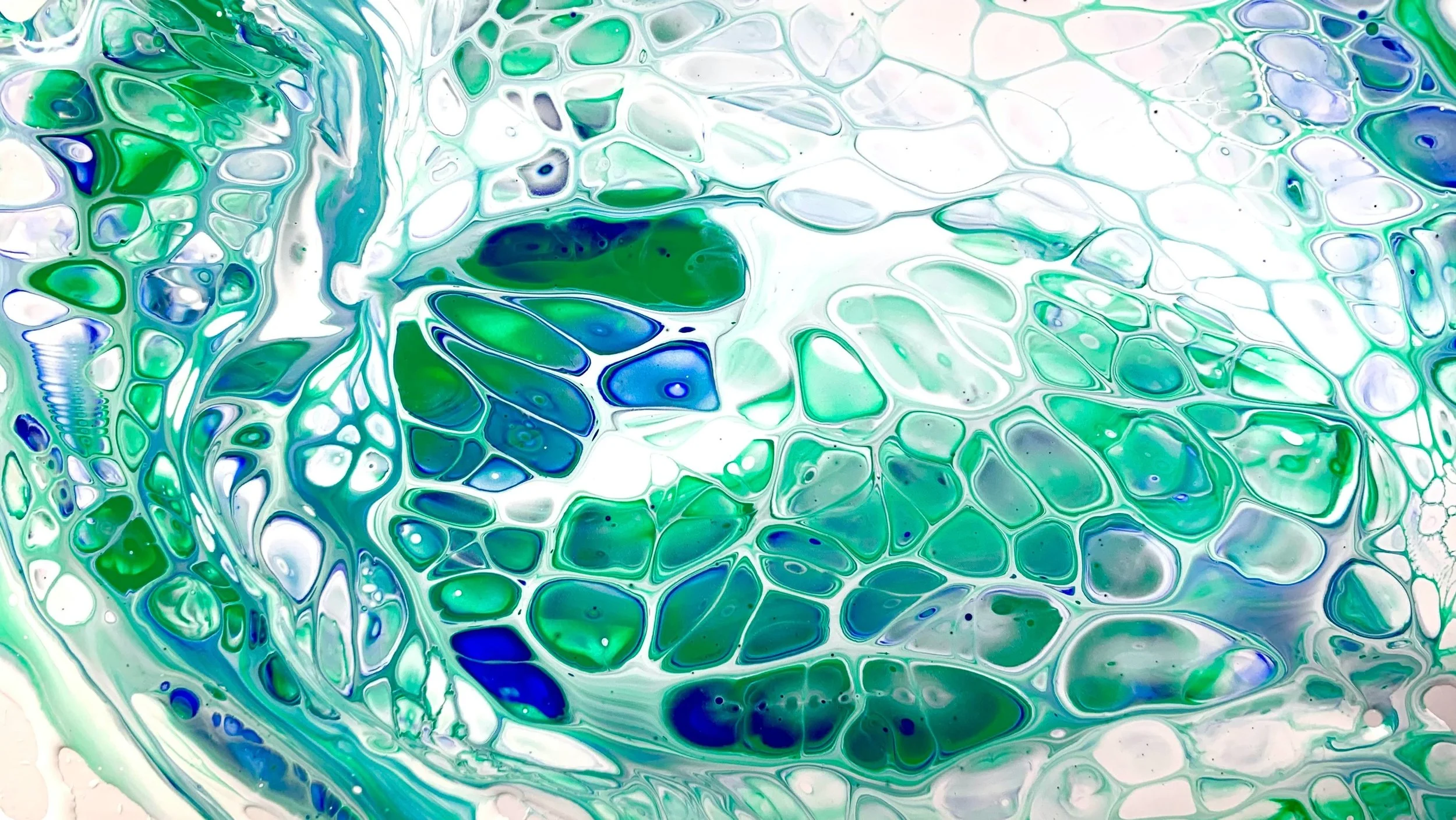 DIE INTELLIGENZ DES KÖRPERS