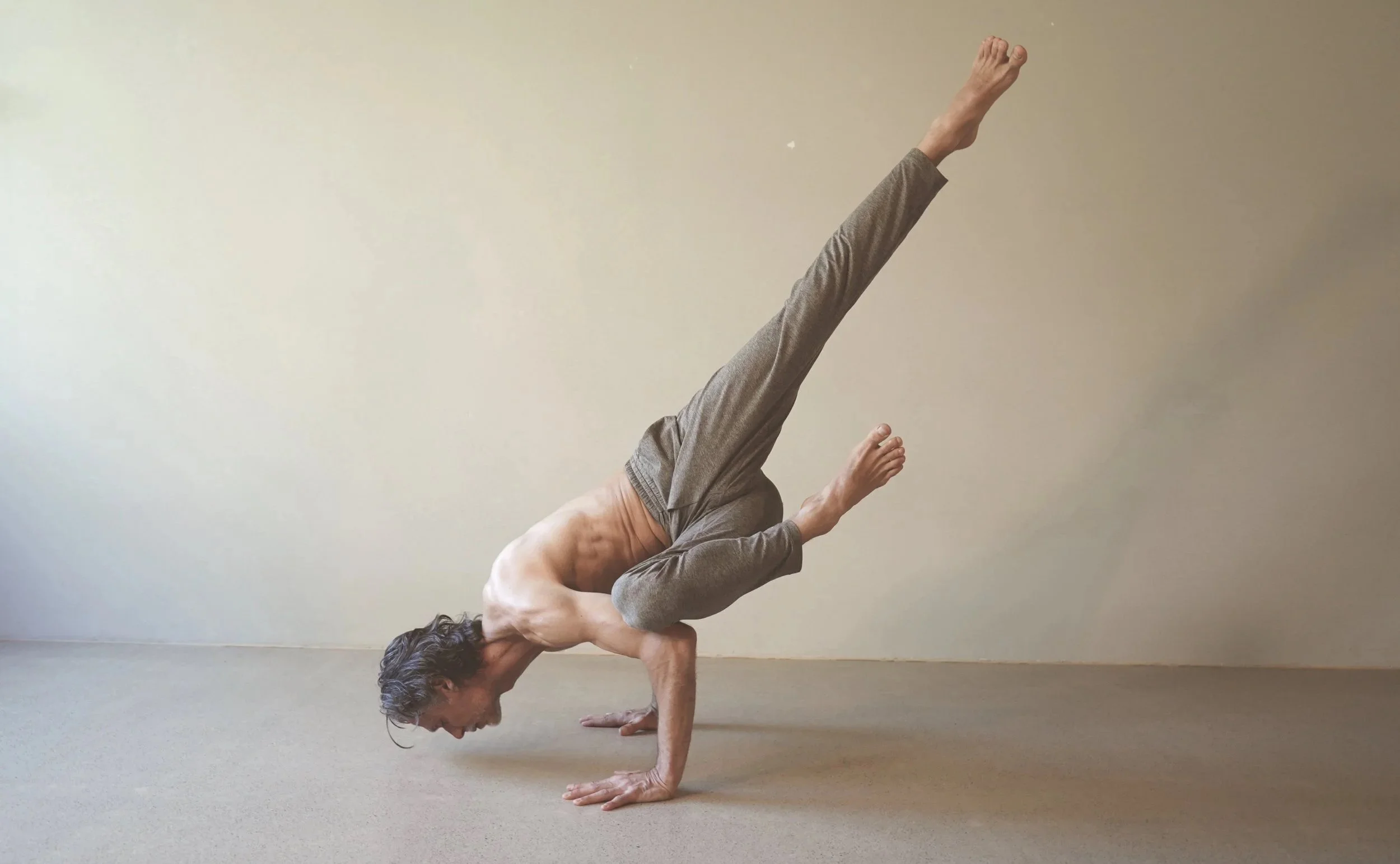 THE ESSENCE OF THE YOGA TRADITIONS with Michael Hamilton