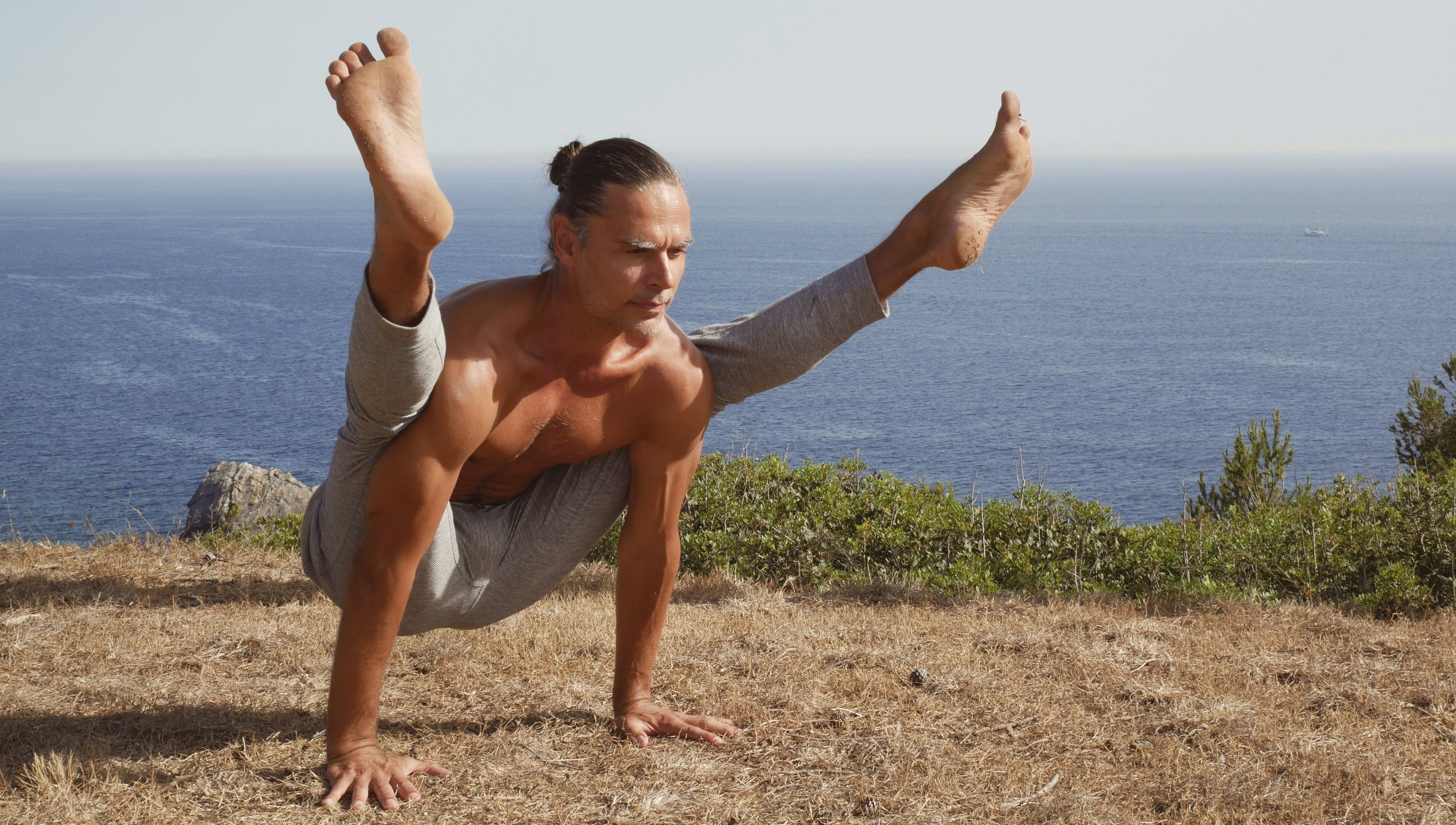 THE ESSENCE OF THE YOGA TRADITIONS with Michael Hamilton