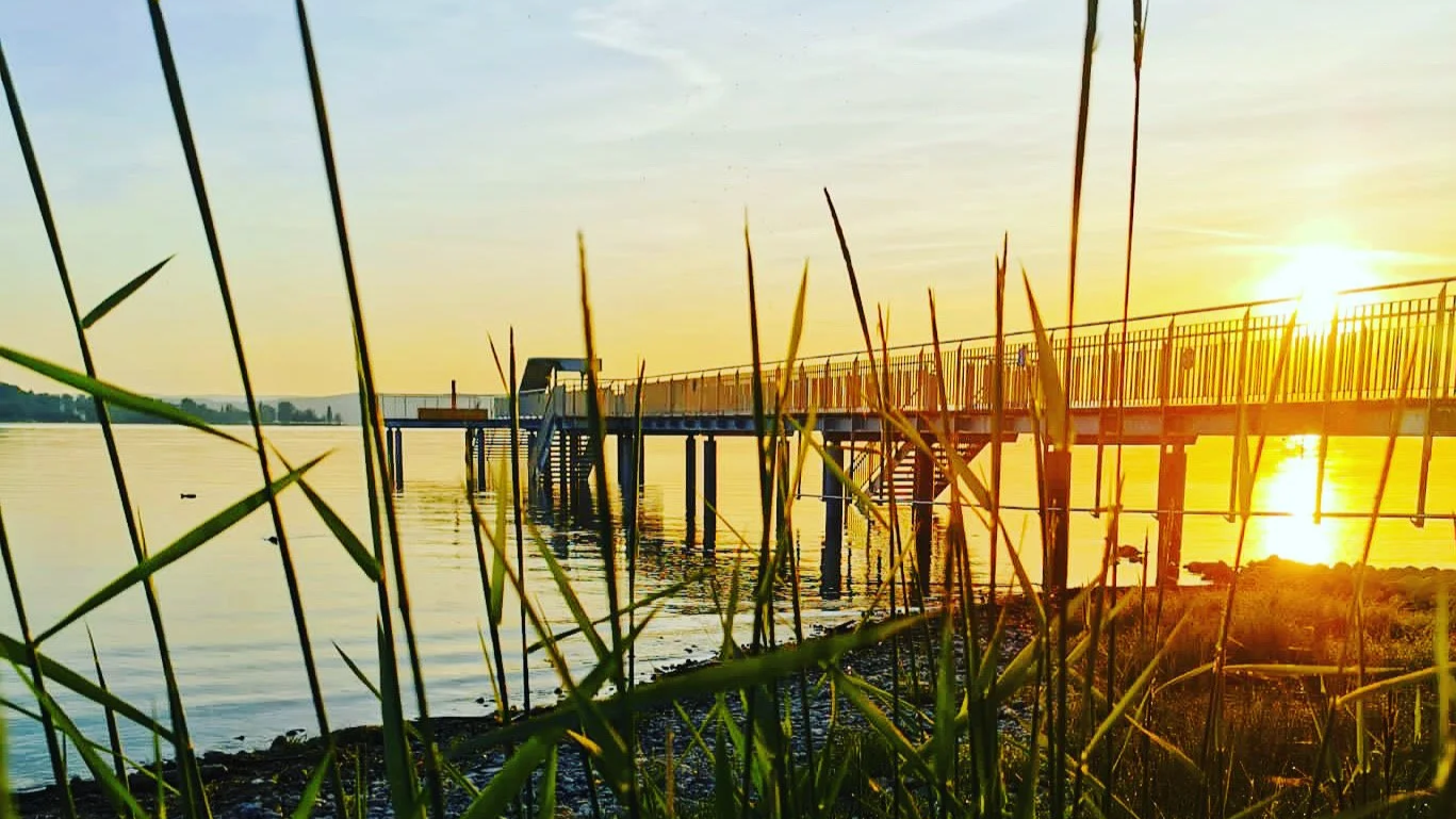 YOGA AM SEE