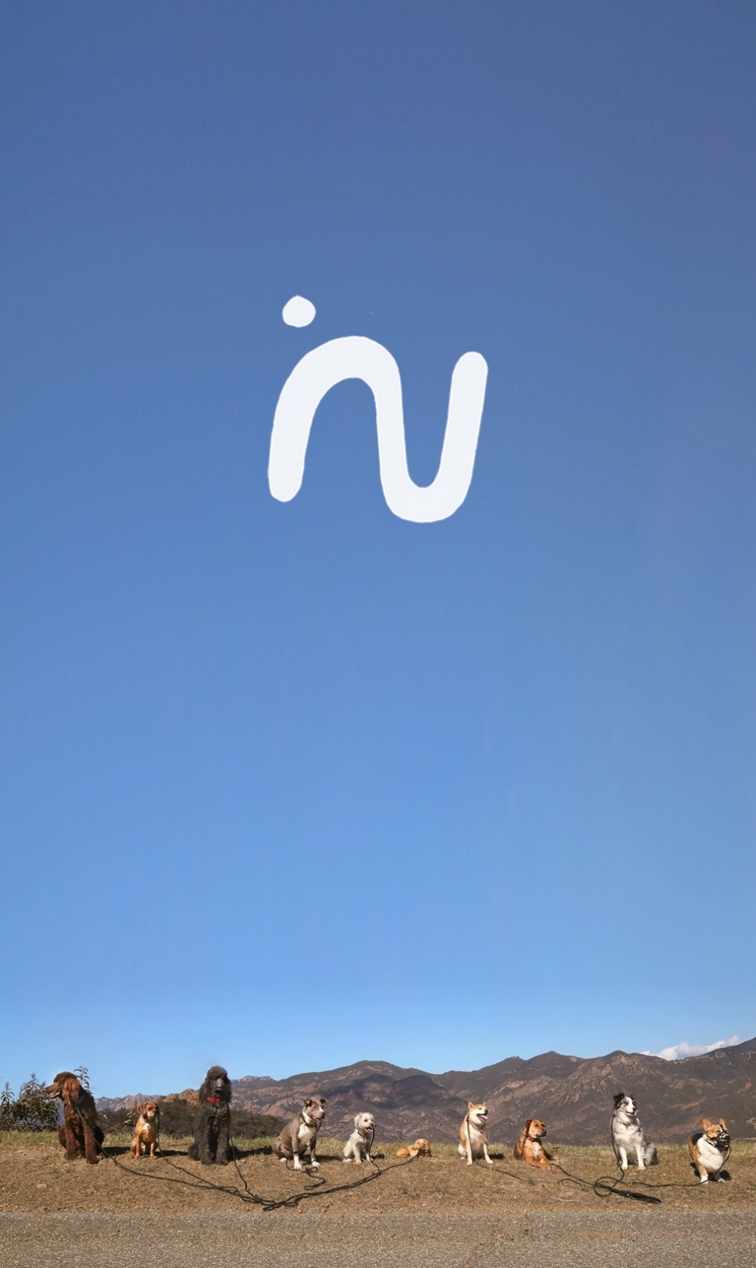 Main image Iphone .jpg