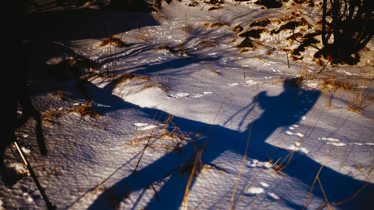 norway-lofoten-winter