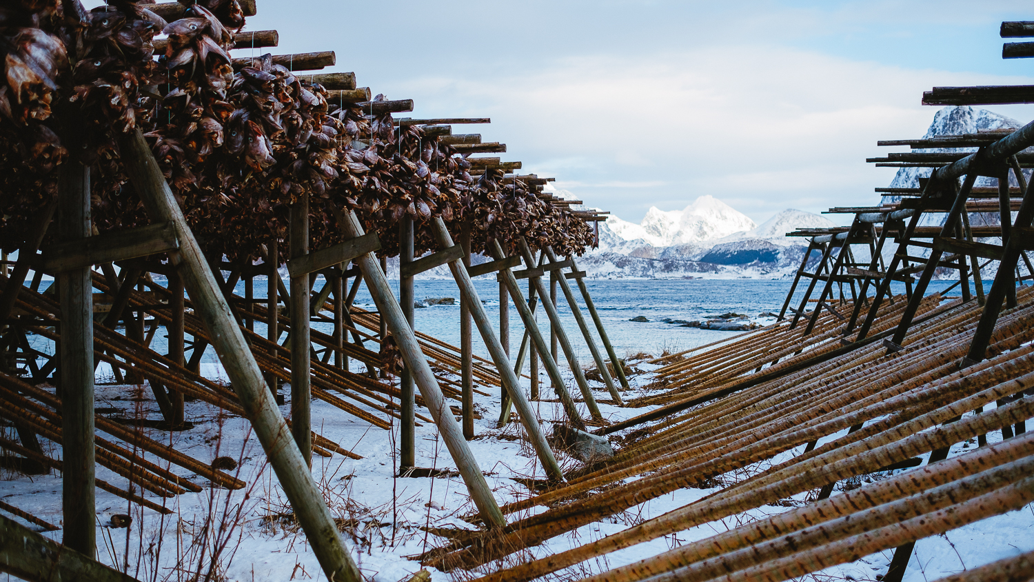 norway-lofoten-winter