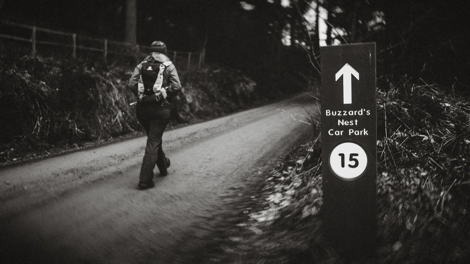 Scotland-Midlothian-Glentress