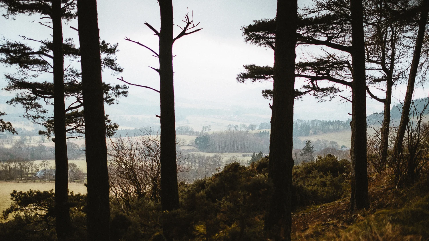Scotland-Midlothian-Glentress