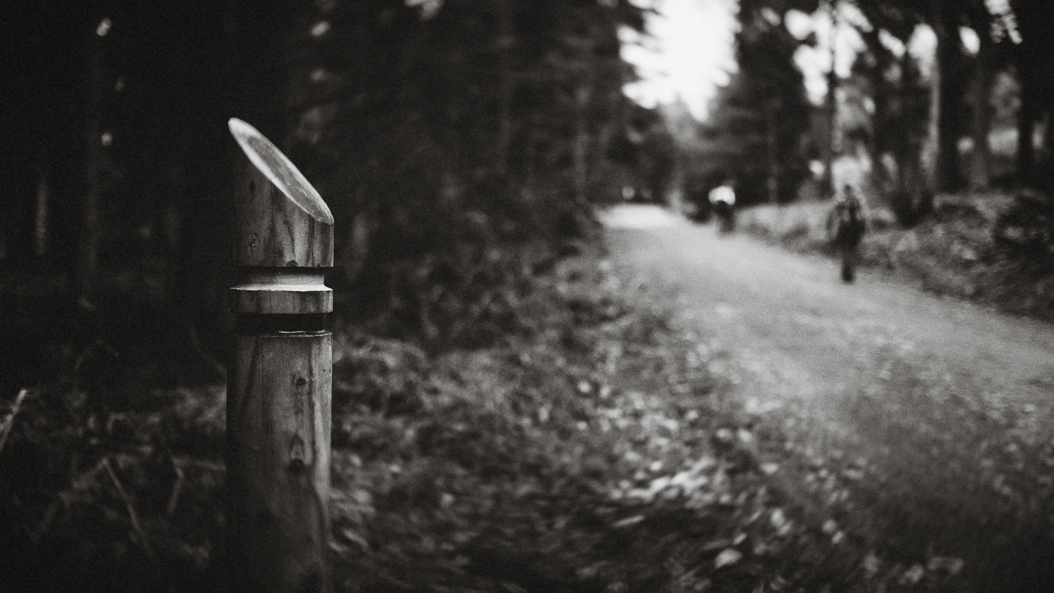 Scotland-Midlothian-Glentress