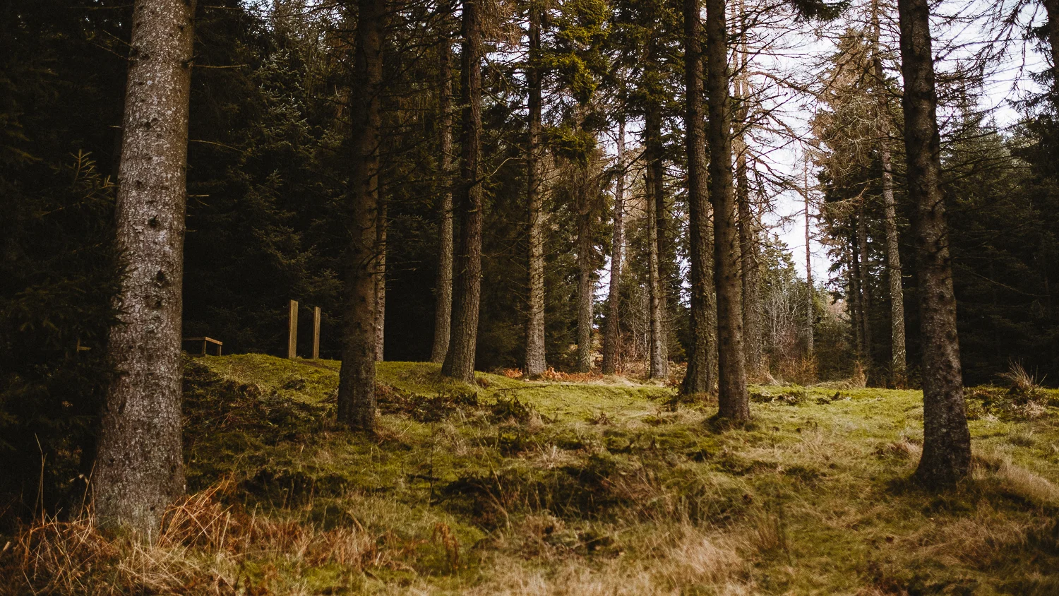 Scotland-Midlothian-Glentress