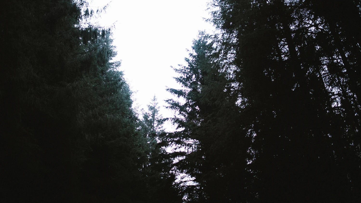 Scotland-Midlothian-Glentress