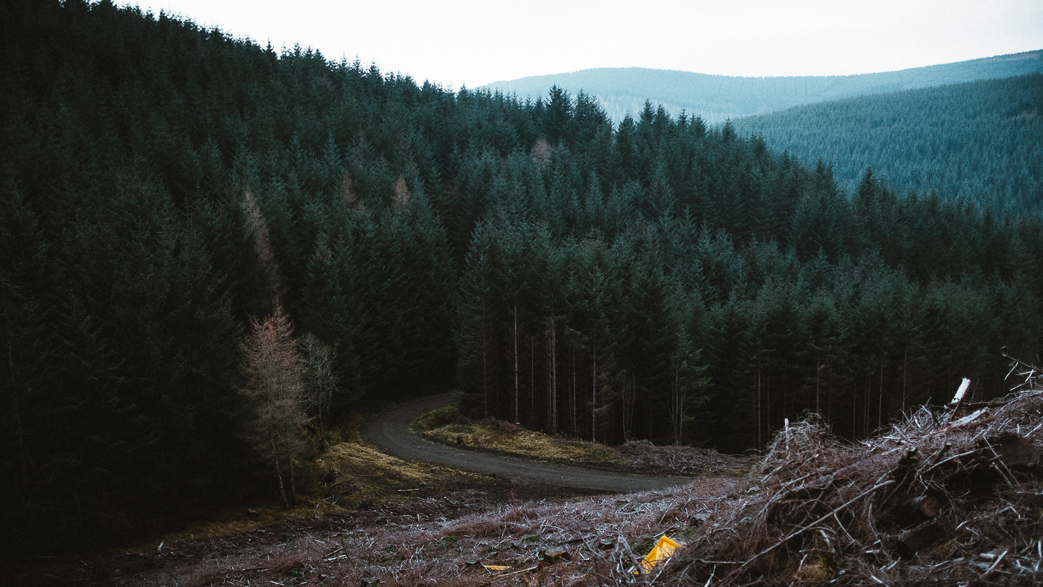 Scotland-Midlothian-Glentress