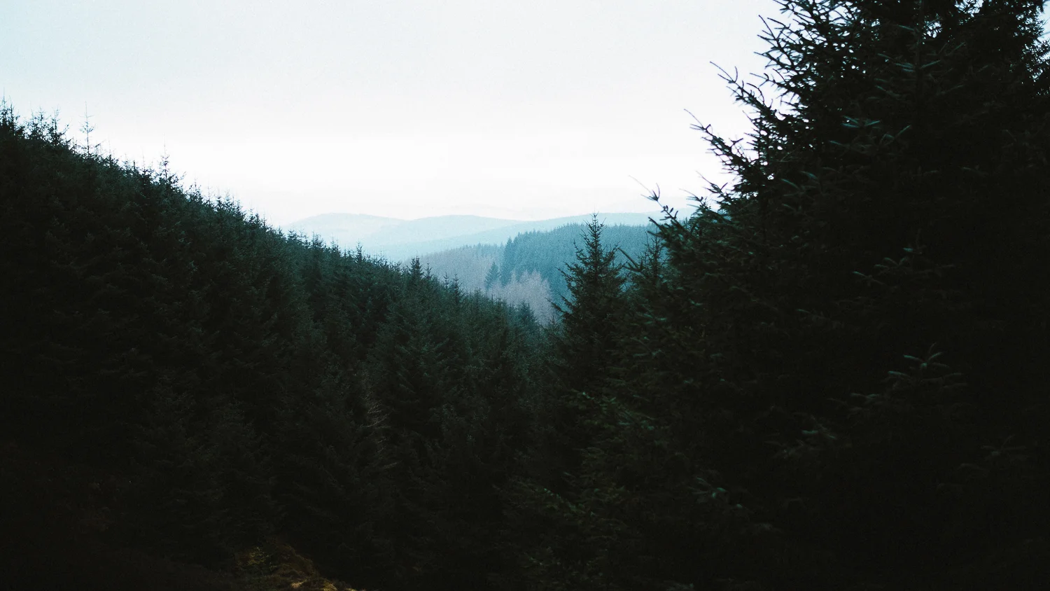 Scotland-Midlothian-Glentress