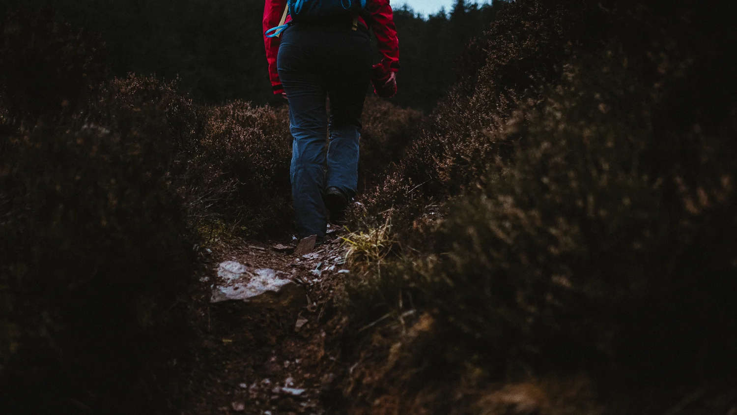 Scotland-Midlothian-Glentress