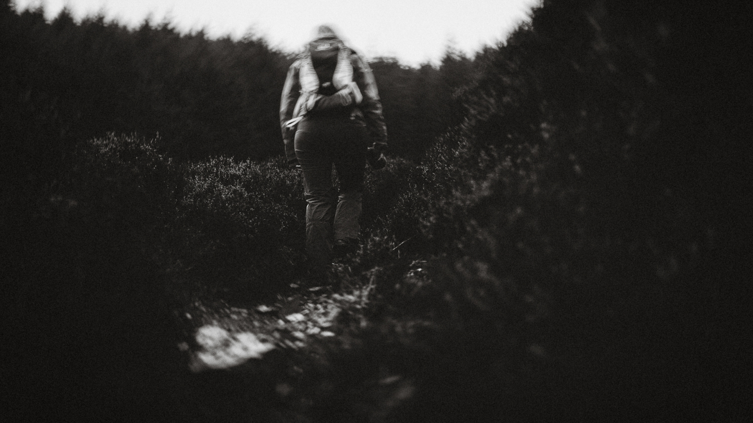 Scotland-Midlothian-Glentress