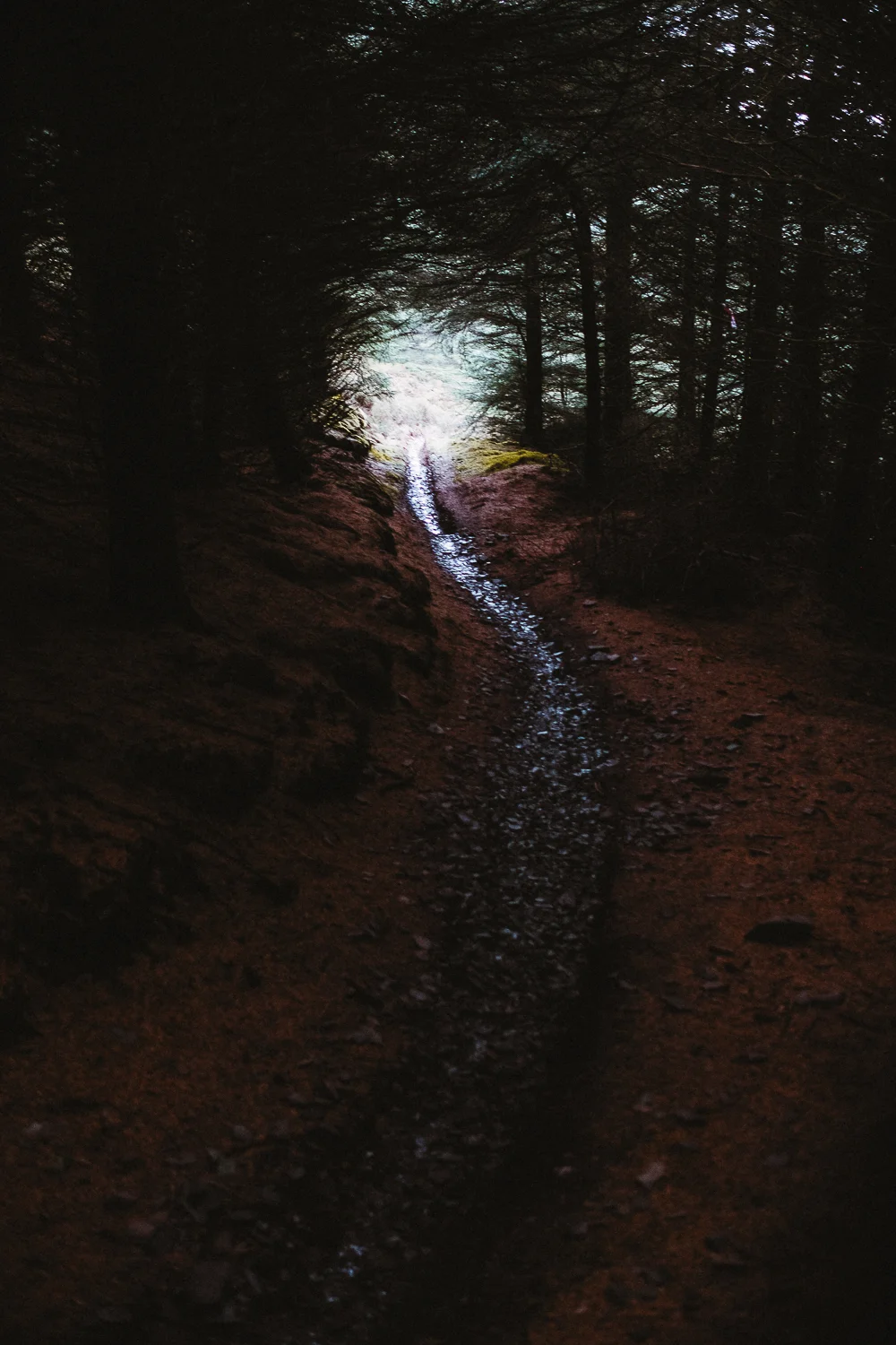 Scotland-Midlothian-Glentress