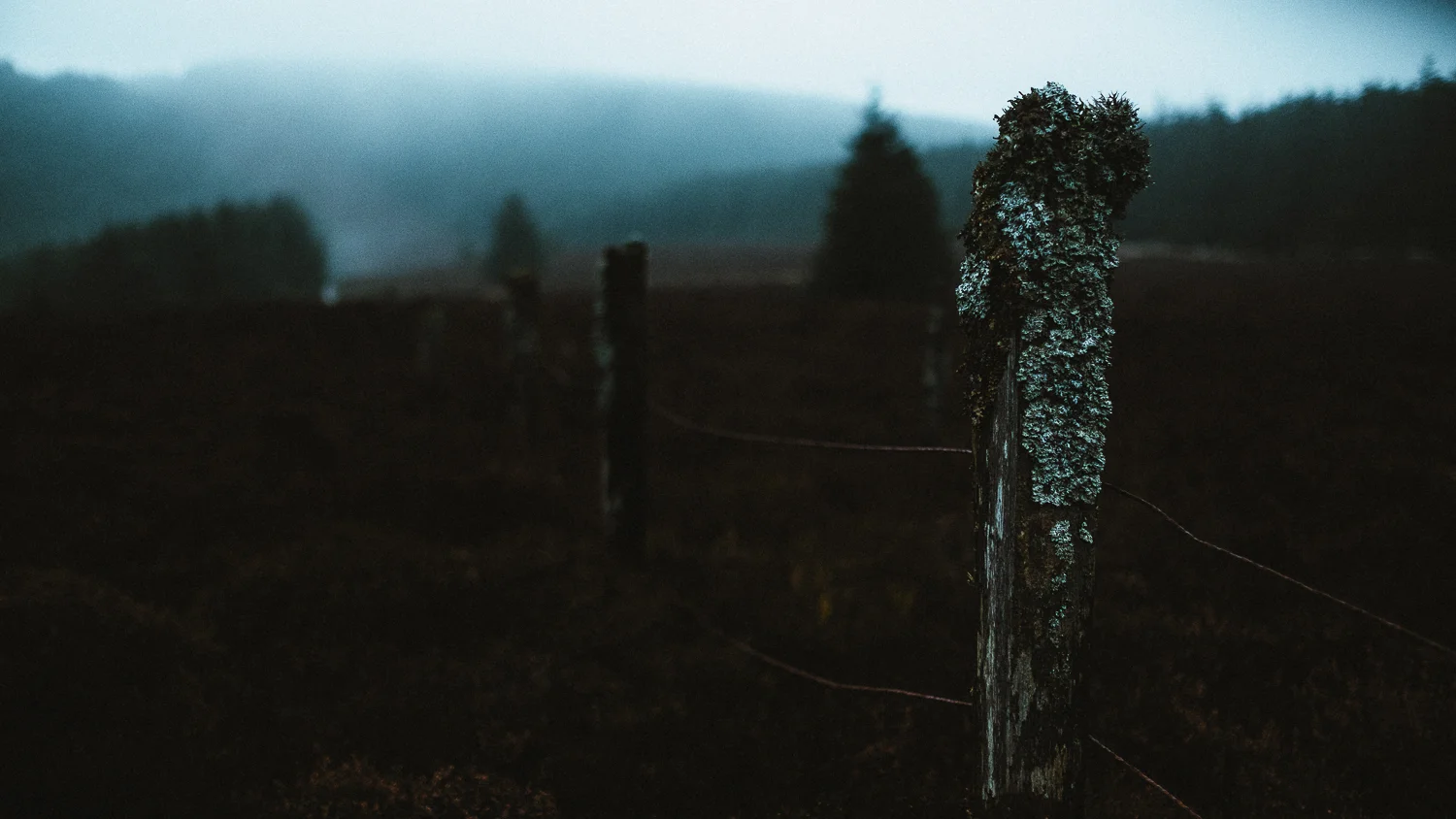 Scotland-Midlothian-Glentress