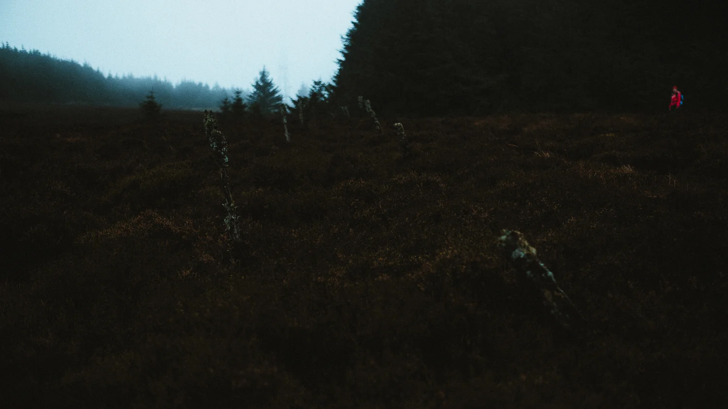 Scotland-Midlothian-Glentress