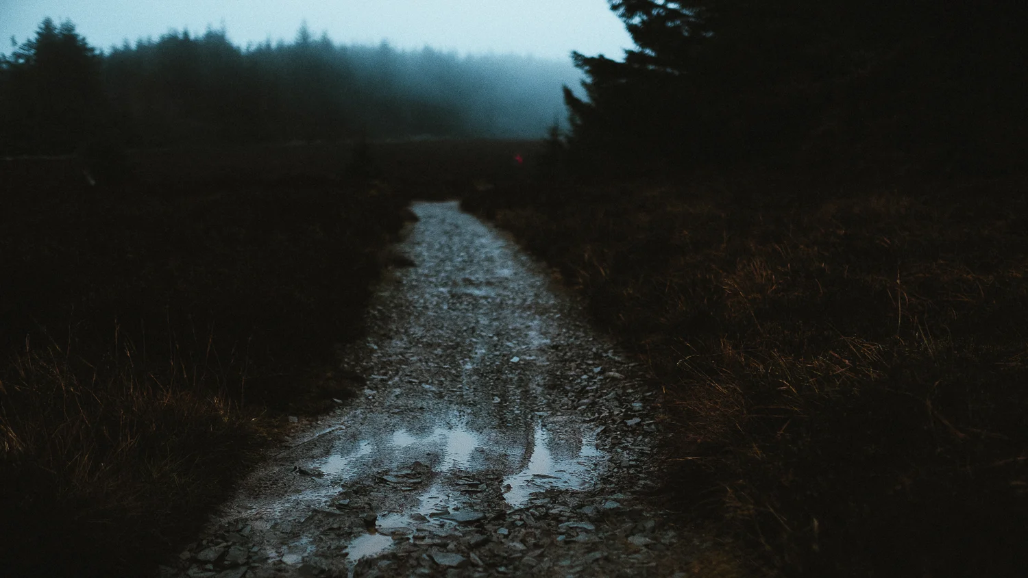 Scotland-Midlothian-Glentress