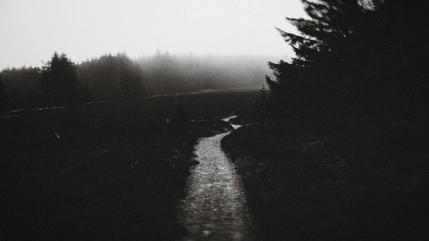 Scotland-Midlothian-Glentress