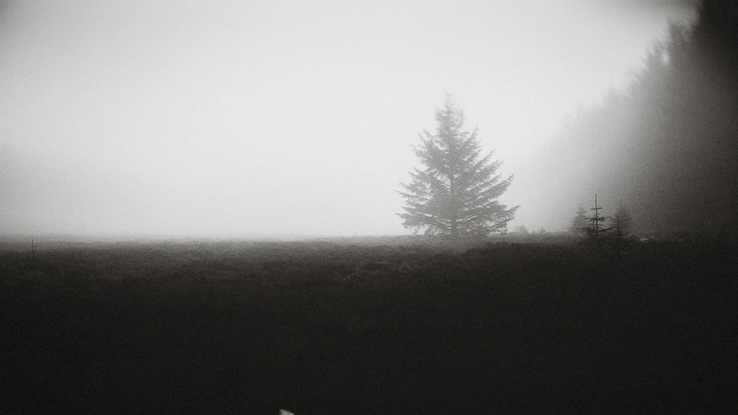 Scotland-Midlothian-Glentress