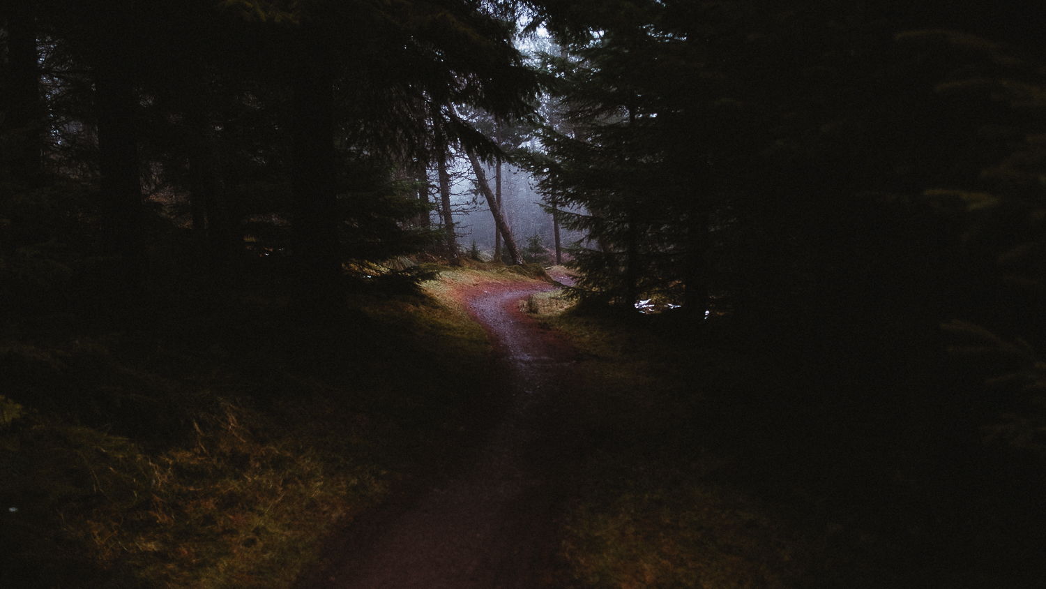 Scotland-Midlothian-Glentress