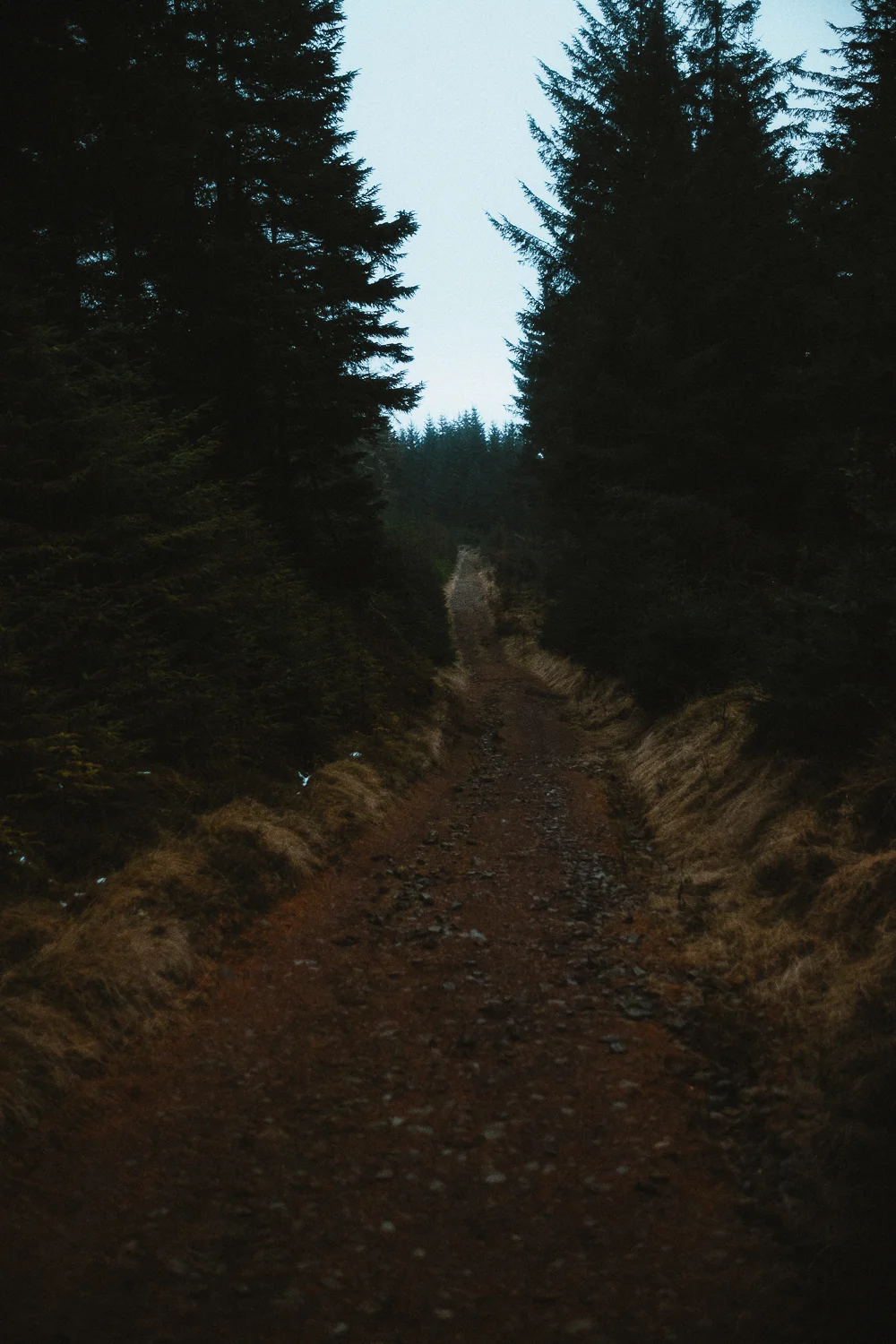 Scotland-Midlothian-Glentress