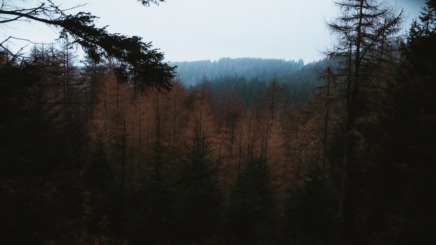Scotland-Midlothian-Glentress