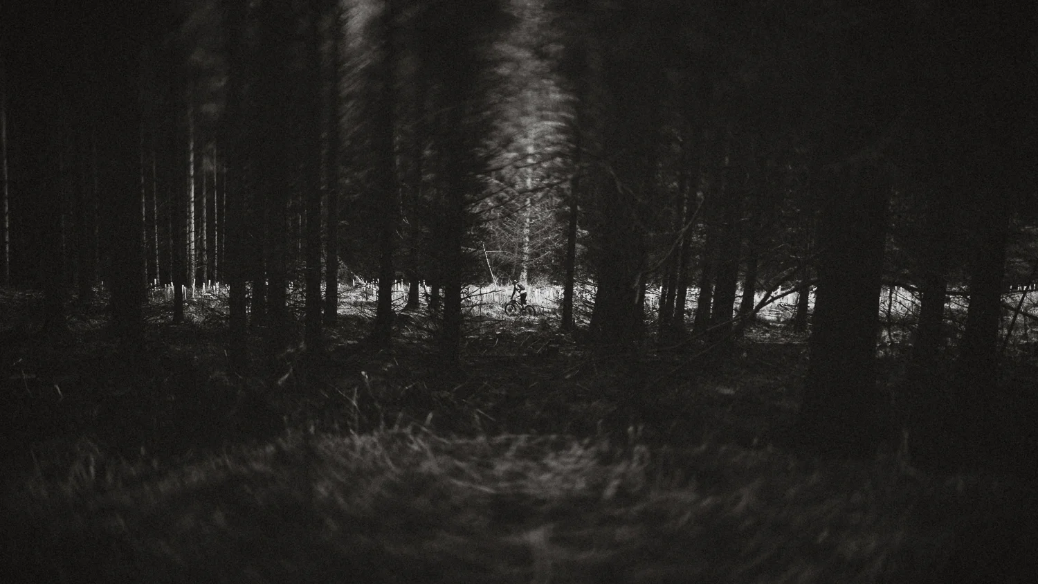 Scotland-Midlothian-Glentress